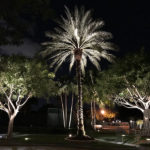 Commercial Condo Outdoor and Exterior Landscape Lighting in Jupiter