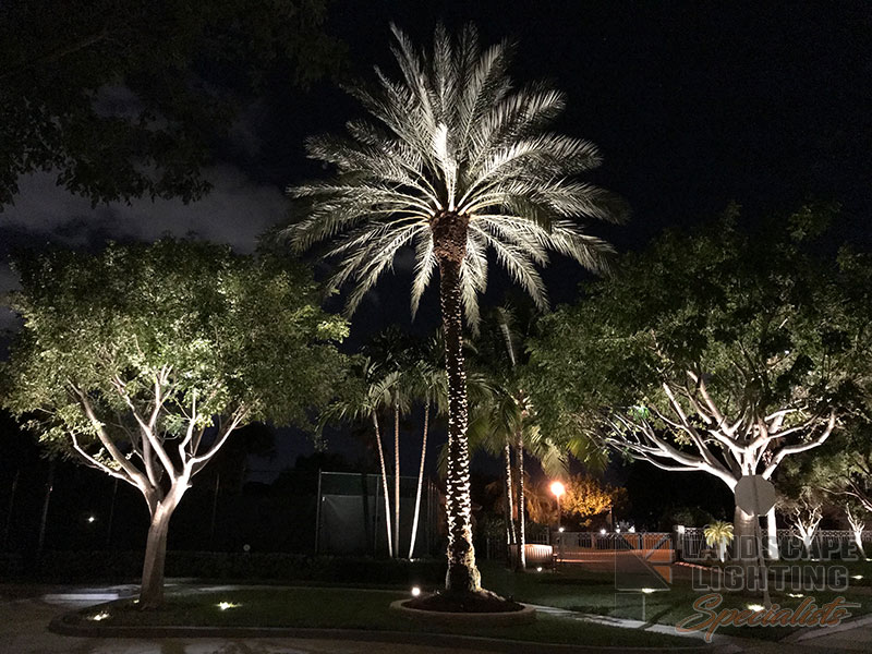 Commercial Condo Outdoor and Exterior Landscape Lighting in Jupiter