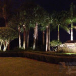 Commercial Entryway Outdoor and Exterior Landscape Lighting in West Palm Beach