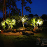 Residential Palm Tree Outdoor and Exterior Landscape Lighting in Loxahatchee