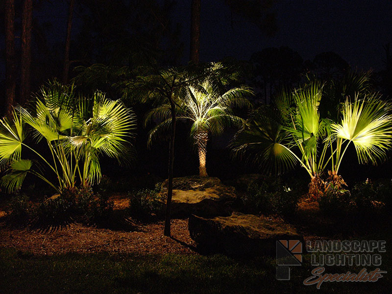 Residential Palm Tree Outdoor and Exterior Landscape Lighting in Loxahatchee