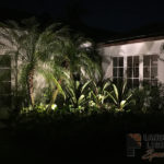 Residential Plant Outdoor and Exterior Landscape Lighting in Delray Beach