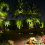 Residential Back Yard Outdoor and Exterior Landscape Lighting in Wellington