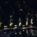 Residential Back Yard Outdoor and Exterior Landscape Lighting in Delray Beach
