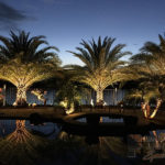 Residential Back Yard Outdoor and Exterior Landscape Lighting in Royal Palm Beach