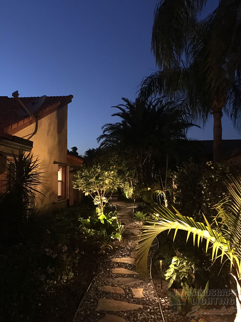 Residential Back Yard Outdoor and Exterior Landscape Lighting in Delray Beach