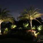 Residential Back Yard Outdoor and Exterior Landscape Lighting in Fort Lauderdale