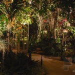 Residential Courtyard Outdoor and Exterior Landscape Lighting in Palm Beach