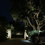 Residential Front Entry Outdoor and Exterior Landscape Lighting in Delray Beach