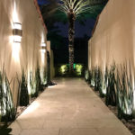 Residential Front Entry Outdoor and Exterior Landscape Lighting in Palm Beach