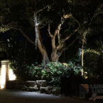 Residential Front Entry Outdoor and Exterior Landscape Lighting in Delray Beach