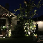 Residential Front Entry Outdoor and Exterior Landscape Lighting in Wellington