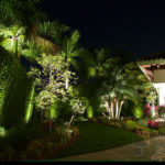 Residential Front Yard Outdoor and Exterior Landscape Lighting in Wellington