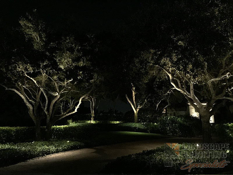 Residential Front Yard Outdoor and Exterior Landscape Lighting in Delray Beach