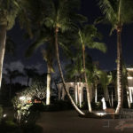 Residential Front Yard Outdoor and Exterior Landscape Lighting in Palm Beach Gardens