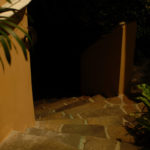 Residential Stair Landscape Lighting in Palm Beach
