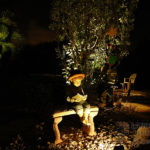 Residential Statue Landscape Lighting in West Palm Beach