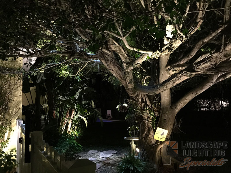 Residential Tree Landscape Lighting in Palm Beach