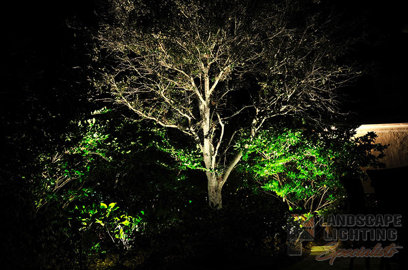 Residential Tree Landscape Lighting in Palm Beach Gardens